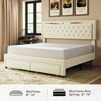 AMERLIFE Bed Frame with LED Lights&Storage Drawers, Velvet Upholstered Platform Bed