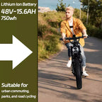 Electric Mountain Bike for Adults, 20 x 4.0 Fat Tire, 750W Motor with 48V 15.6Ah Removable Battery