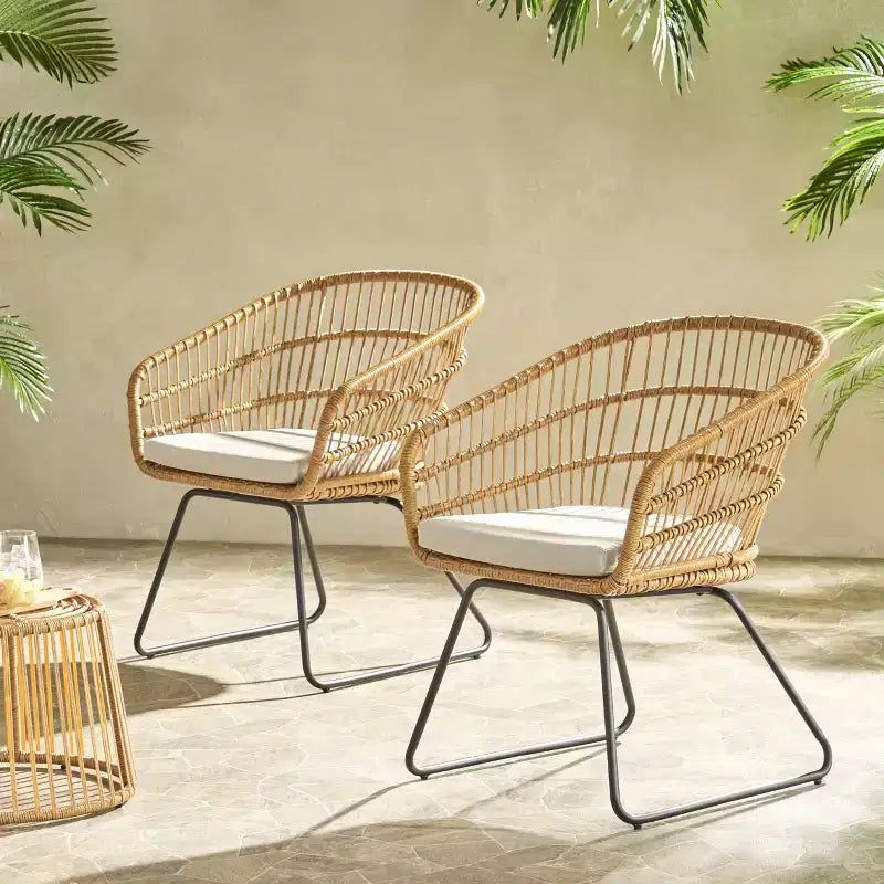MAYEERTY Set of 2 Chairs With 2 Soft Cushions Versatile Seating for Living Room Bedroom