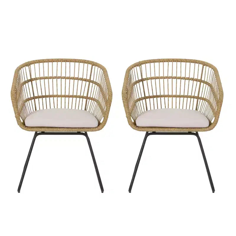 MAYEERTY Set of 2 Chairs With 2 Soft Cushions Versatile Seating for Living Room Bedroom