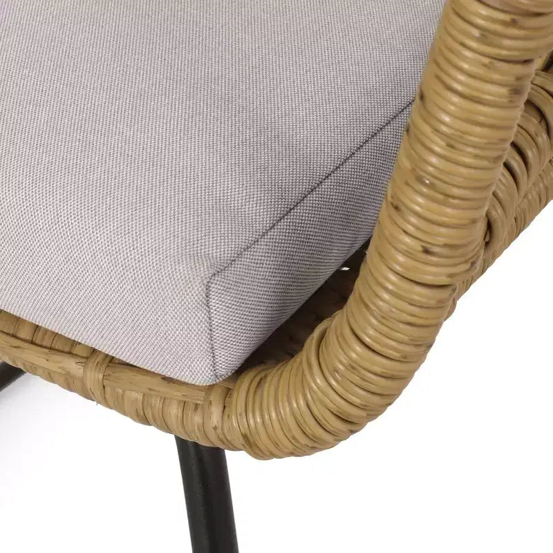 MAYEERTY Set of 2 Chairs With 2 Soft Cushions Versatile Seating for Living Room Bedroom