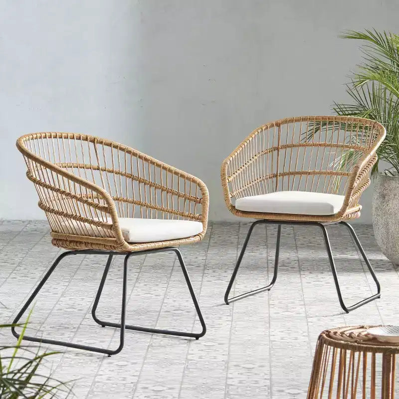 MAYEERTY Set of 2 Chairs With 2 Soft Cushions Versatile Seating for Living Room Bedroom
