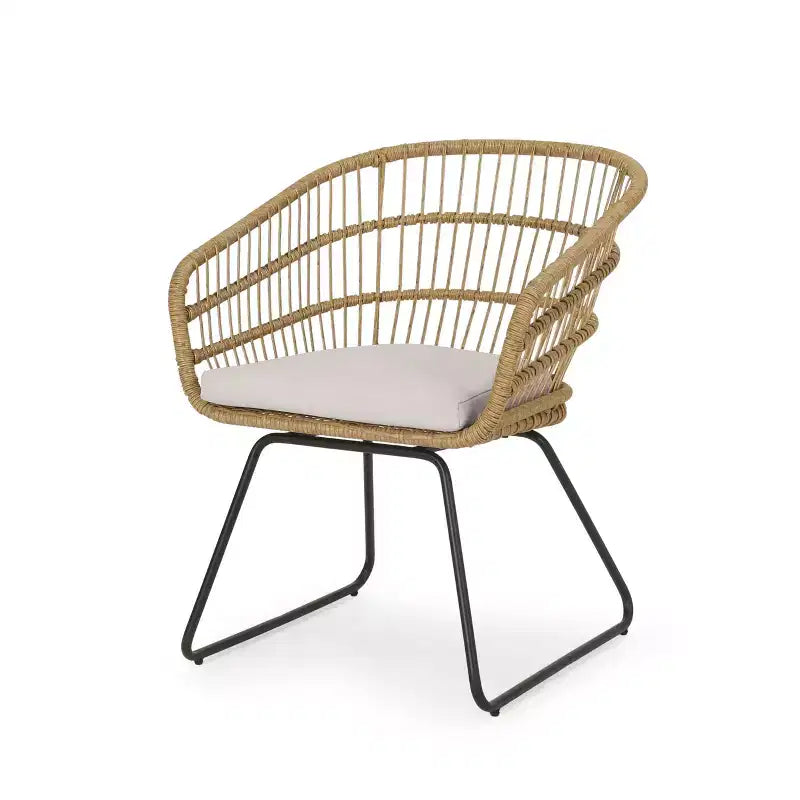 MAYEERTY Set of 2 Chairs With 2 Soft Cushions Versatile Seating for Living Room Bedroom