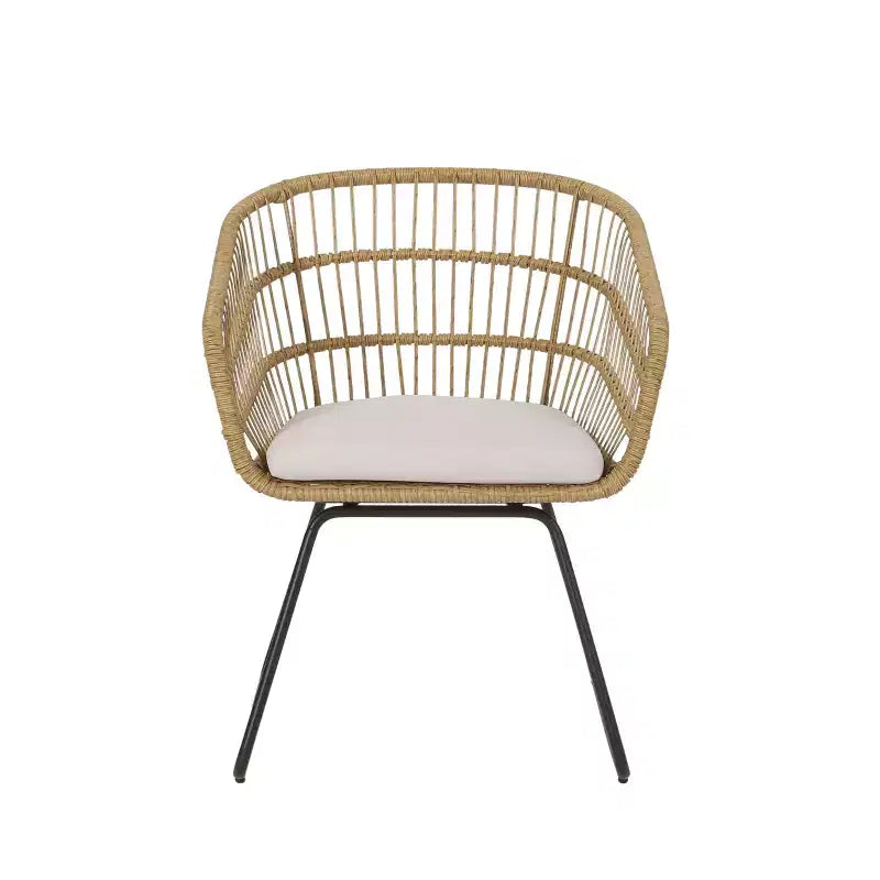 MAYEERTY Set of 2 Chairs With 2 Soft Cushions Versatile Seating for Living Room Bedroom