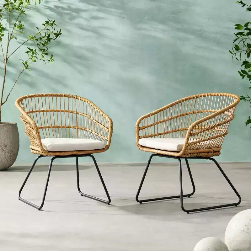 MAYEERTY Set of 2 Chairs With 2 Soft Cushions Versatile Seating for Living Room Bedroom