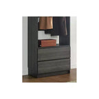 HomeStock Prosper 32 Wood Walk-in Closet with Two Drawers