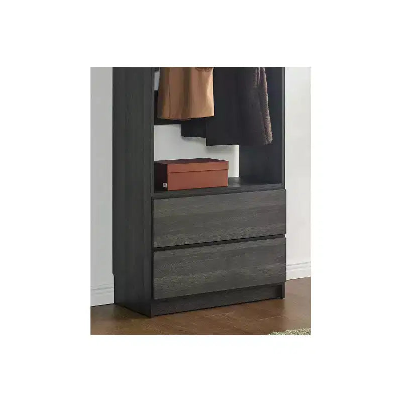 HomeStock Prosper 32 Wood Walk-in Closet with Two Drawers