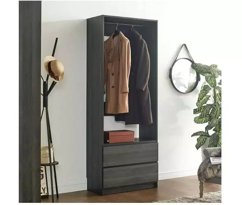 HomeStock Prosper 32 Wood Walk-in Closet with Two Drawers