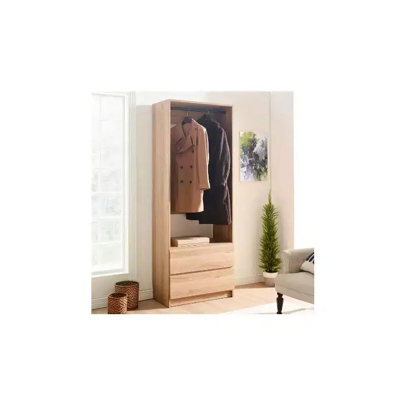 HomeStock Prosper 32 Wood Walk-in Closet with Two Drawers