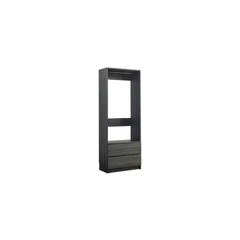 HomeStock Prosper 32 Wood Walk-in Closet with Two Drawers