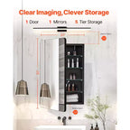 VEVOR Armadietto dei Medicinali, 20 x 30 pollici, Armadietto dei Medicinali per Bagno con Specchio, Telaio in Alluminio, 4 Ripiani Regolabili, Nero