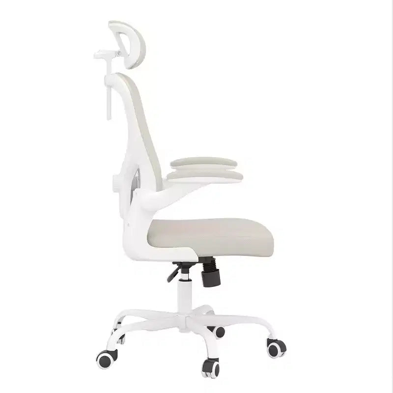 MAYEERTY Ergonomic Home Office Chair - With Lumbar Support, Flip-Up Armrests & Headrest for Work & Study (Black)