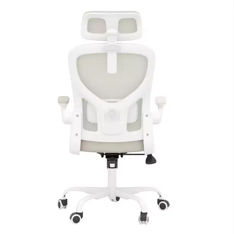 MAYEERTY Ergonomic Home Office Chair - With Lumbar Support, Flip-Up Armrests & Headrest for Work & Study (Black)