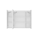 Famapy LED Lighted Medicine Cabinet: Defogging Function, Ample StorageAdjustable Lighting  Elevate Bathroom Style