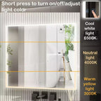 Famapy LED Lighted Medicine Cabinet: Defogging Function, Ample StorageAdjustable Lighting  Elevate Bathroom Style