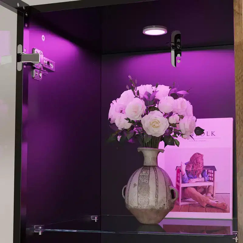 Hitow Mobile Espositore Illuminato a LED Libreria in Vetro con Ante in Legno Elegante Mobile Contenitore per Decorazioni e Libri Armadietto Autoportante