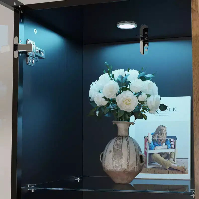 Hitow Mobile Espositore Illuminato a LED Libreria in Vetro con Ante in Legno Elegante Mobile Contenitore per Decorazioni e Libri Armadietto Autoportante