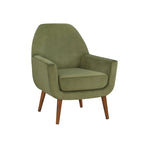Poltrona in velluto Mid-Century