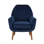 Poltrona in velluto Mid-Century