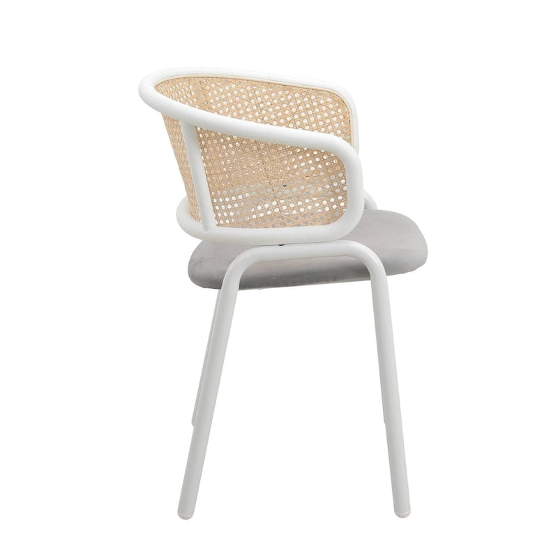 Ervilla Modern Stylish Side Chair with Rattan Back and White Steel Legs for Dining Room & Kitchen