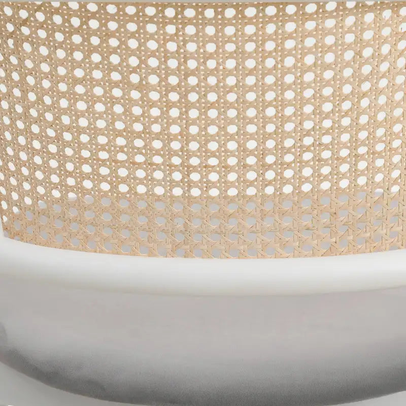 Ervilla Modern Stylish Side Chair with Rattan Back and White Steel Legs for Dining Room & Kitchen