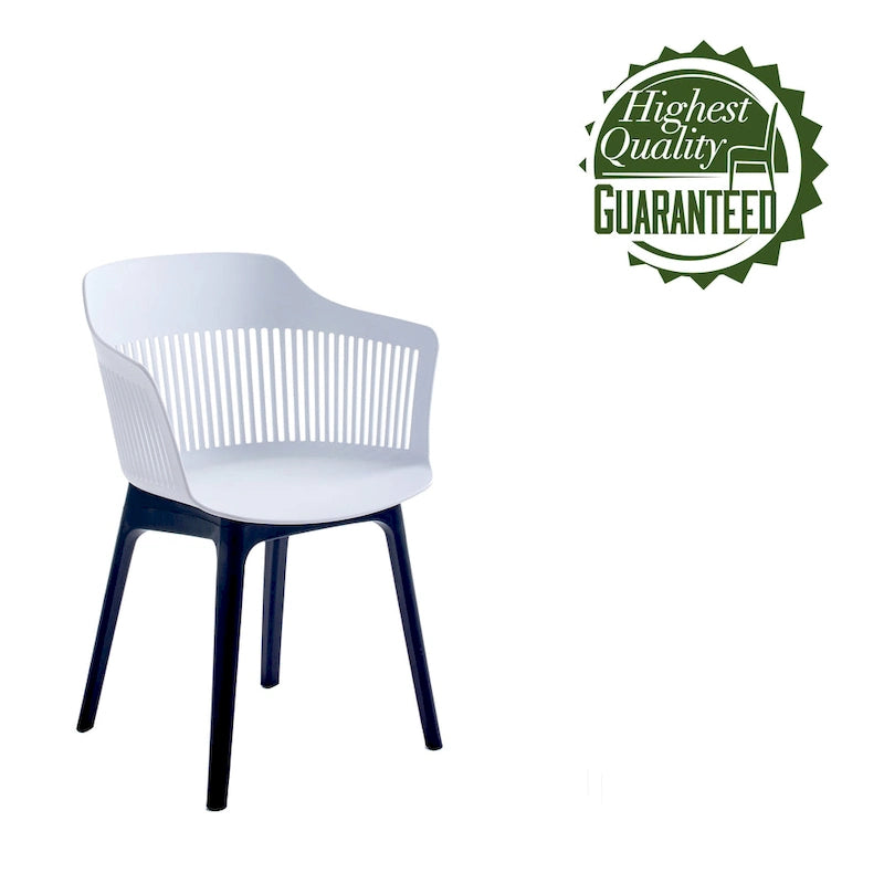 Porthos Home Palmer Dining Chairs Set of 2, Plastic Shell And Legs