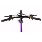 Titan Bikes Wildcat 12-Speed Women's Mountain Bike, Purple/Black