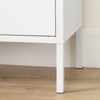 2-Door Metal Storage Cabinet with Adjustable Shelves