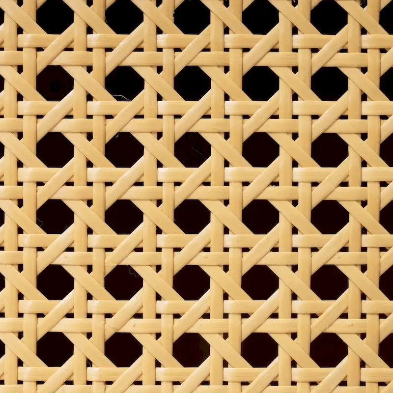 Natural Bamboo Rattan 2-Door Storage Cabinet