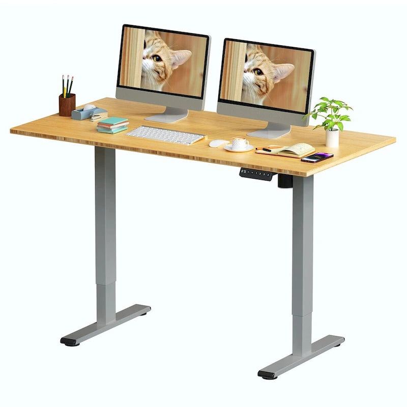 FlexiSpot 100% Bamboo Whole-Piece Desktop Ergonomic Electric Home Office Standing Desk Memory Controller