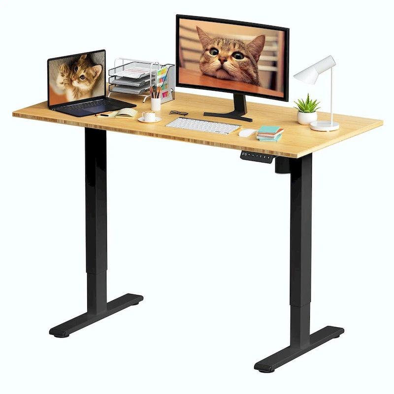 FlexiSpot 100% Bamboo Whole-Piece Desktop Ergonomic Electric Home Office Standing Desk Memory Controller