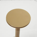 Acrylic Plastic Side End Accent Table with Elevated Base and Gold Stand - Clear - Roche River Decor